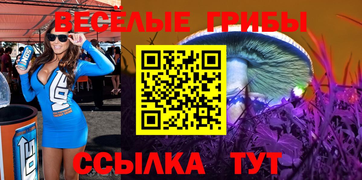 Галлюциногенные грибы Нижнеудинск