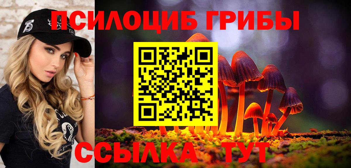 Нижнеудинск  Псилоцибиновые грибы Psilocybine cubensis  Вход с VPN 