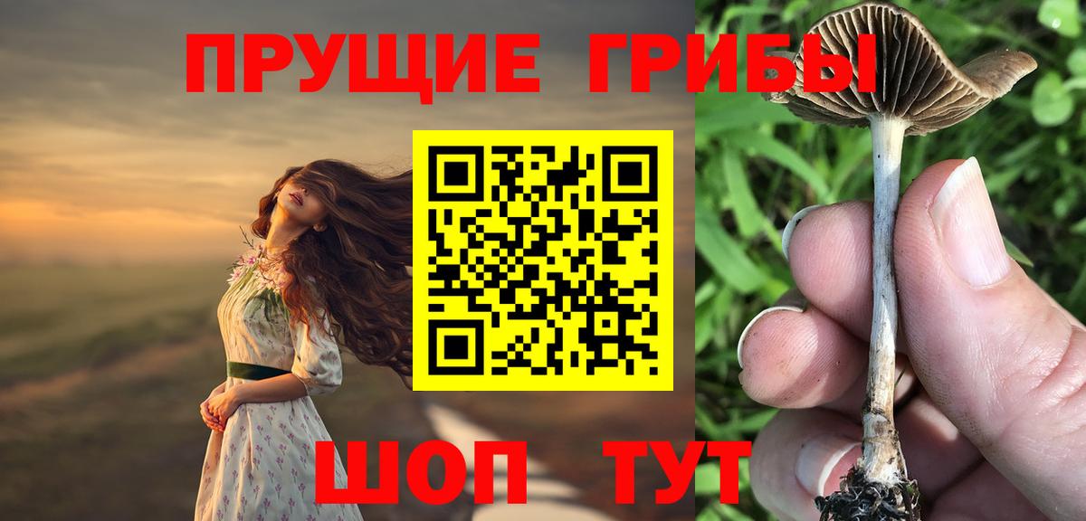 Псилоцибиновые грибы Psilocybine cubensis Нижнеудинск