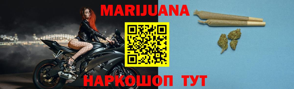 МАРИХУАНА конопля Нижнеудинск